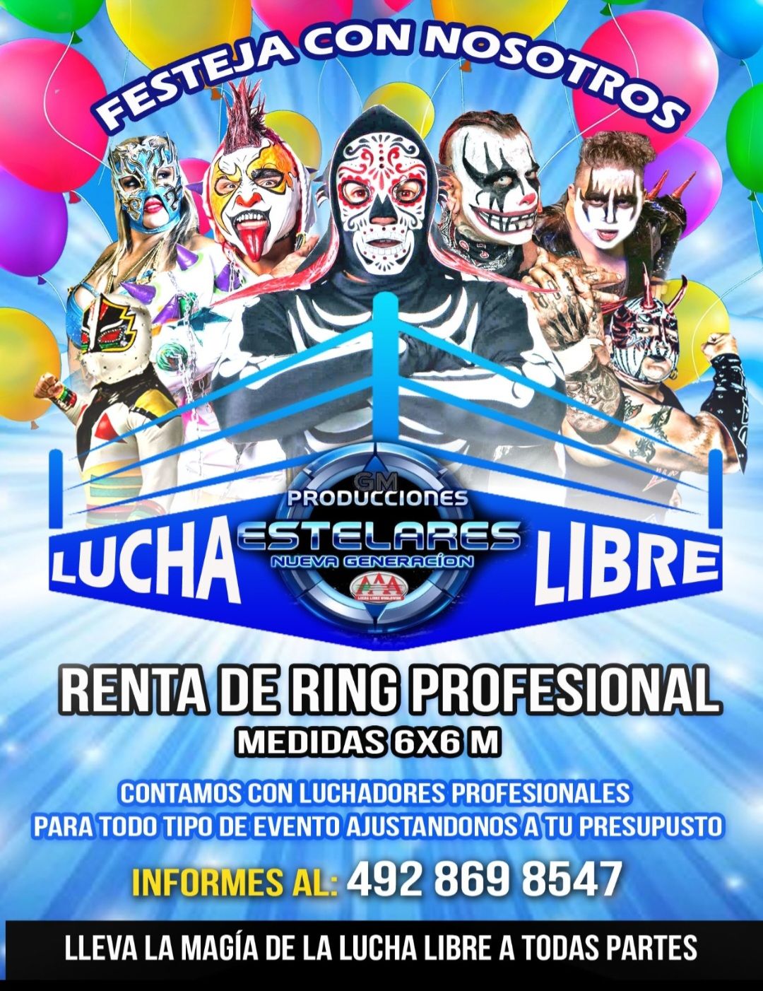 Renta de ring profesional